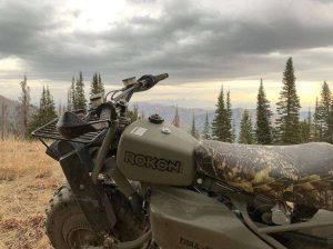 Hunting