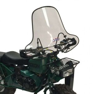Windshield