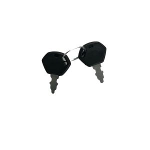 Starting Keys (set of 2)