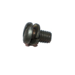 Screw