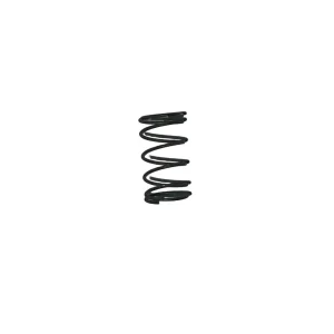 Friction Shoe Shring